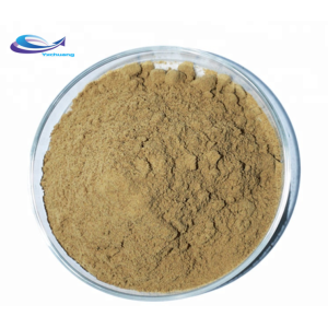 Best echinacea purpurea root extract powder Polyphenols 4%