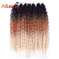 Pre-looped Butterfly Braids Crochet Hair For Black Women