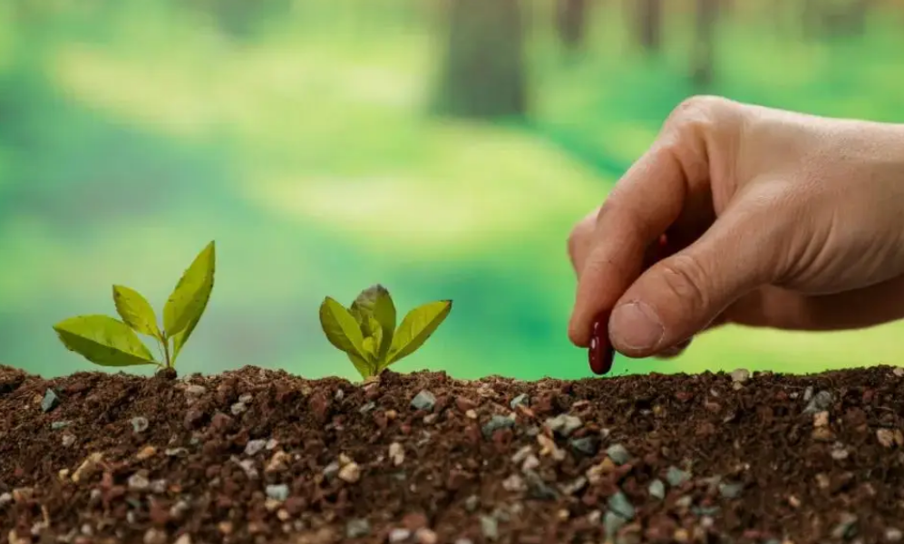 Soil Conditioner
