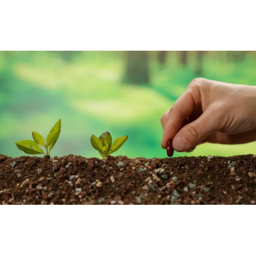 Natural Soil Conditioner for Sustainable Agriculture