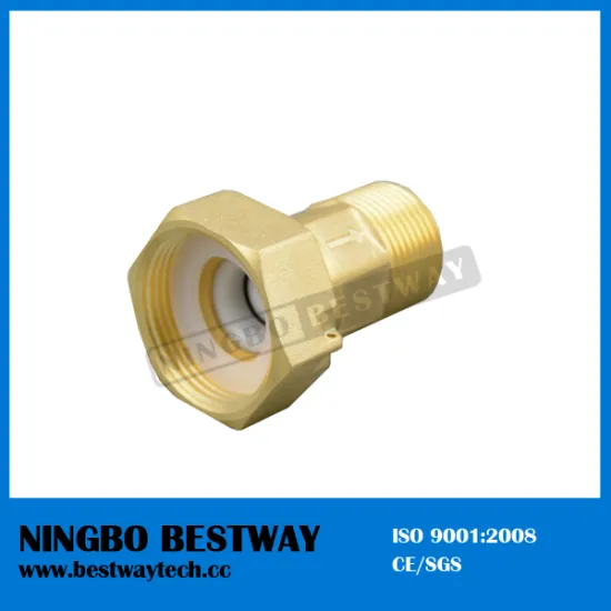 15mm Small Plastic Check Valve for Water Meter Coupling