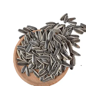 2024 Hot Sale Sunflower Seed Kernels, High-Quality and Full Granules