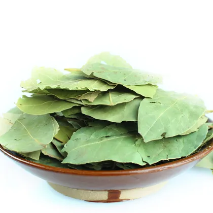 25g Family Pack Healthy Condiments Chinese Dried Seasoning Bay Leaf