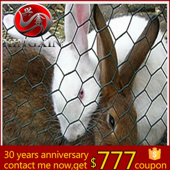 high quality electric galvanized gabion garden stone basket fence