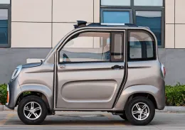 Double door four-wheel electric vehicle