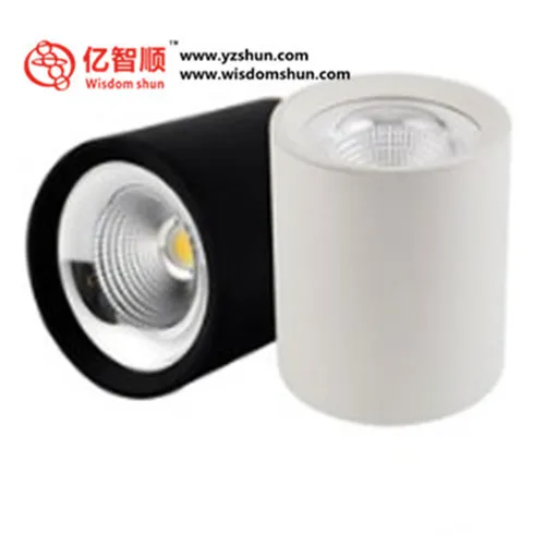 Shen Zhen Factory 2700-6500K dimmable cob led downlights 12w