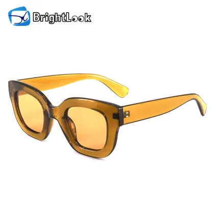 Luxury Brand Sunglasses for Men and Women