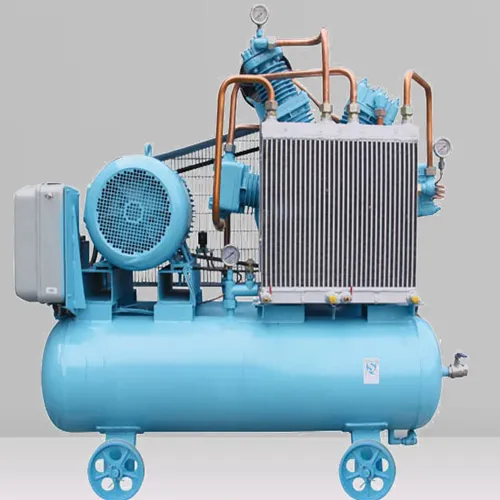 belt air compressor intake filter