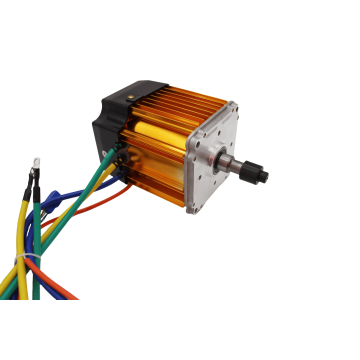 1500W High-Efficiency Resort Cart Motor