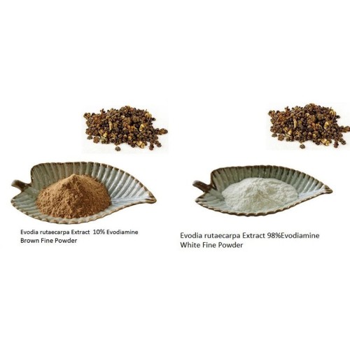 Evodia Rutaecarpa Extract Evodiamine / Rutaecarpine 10%-98%