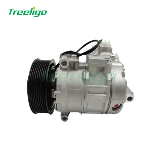 24V Air Conditioner Compressor for Mercedes-Benz Axor VALEO TM21