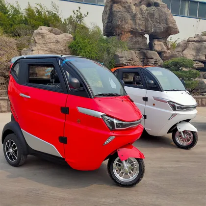EEC Certified Senior Mobility Scooter with Lithium Battery and Cabin for Sale