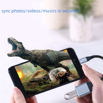 UCOAX USB C ke USB A Adaptor Wanita