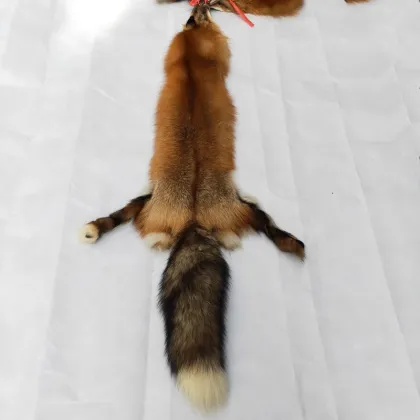 Red Fox Fur Skin Tanned Skins Red Fox Fur Pelt