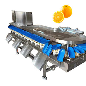 Machine de classement de poids automatique avec tri de plateau rotatif