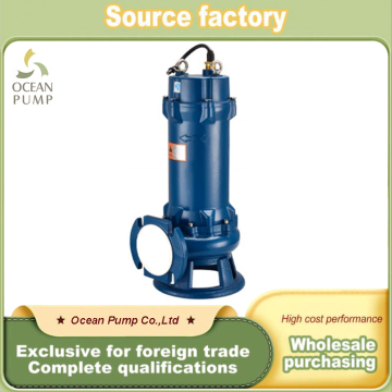 Durable Submersible Portable Pump for Water Transfer