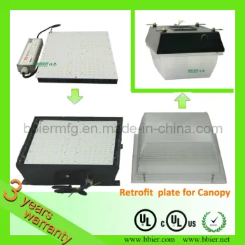 50W LED Canopy Light