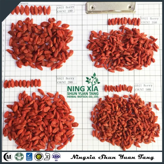 Bulk 2 Years Shelf Life Wolfberry