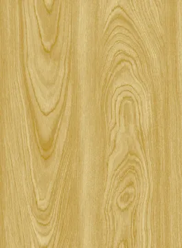 Wood grain prepainted galvanized steel coil
