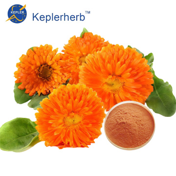 Grosir bubuk ekstrak marigold