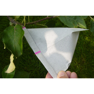 Avocado Fruit Growing Bag