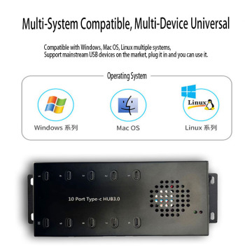 ความเร็วสูง USB3.0 เวอร์ชัน 10 พอร์ต Type-C ฮับ