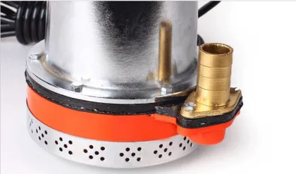 Marine Sea Water Pump/12v/24v/48v DC Marine Water Pump/Marine Pump