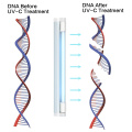 หลอดยูวี 254nm หลอดไฟอัลตราไวโอเลต T8