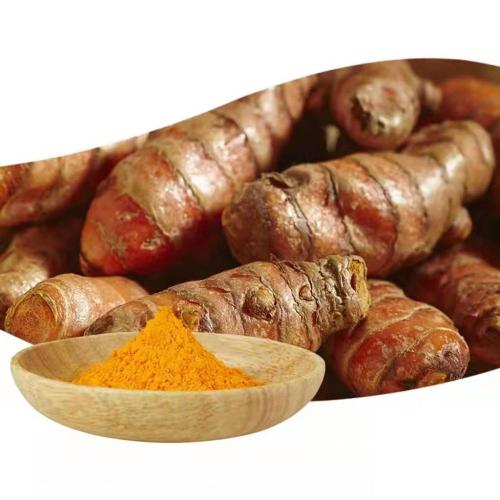 Termeric Extract Curcumin Powder 95% สำหรับอาหารเสริมเพื่อสุขภาพ