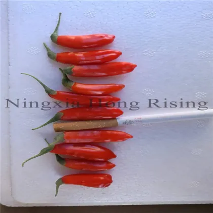 Yin Jing chinese tonic goji berry wolfberries