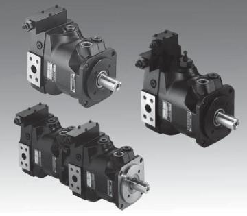 Hydraulic Pump