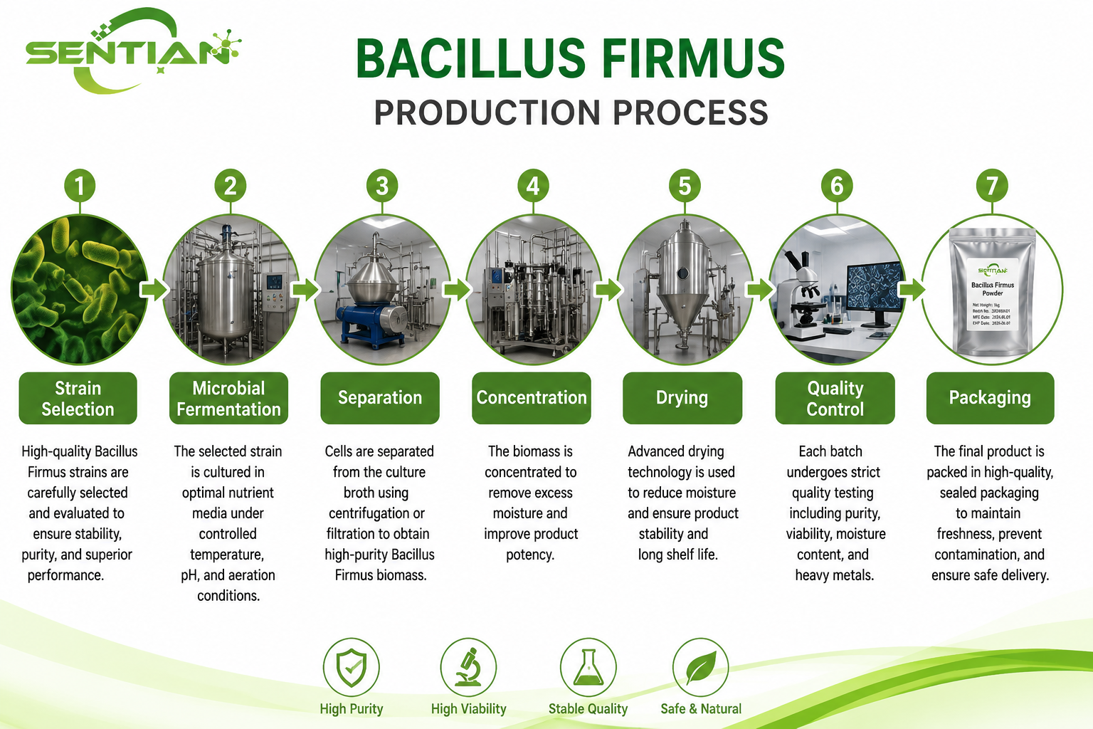 Bacillus Firmus（1）