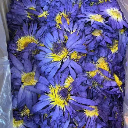 100% Natural Organic Handmade Herb Flower Tea - Egyptian Water Lily Dried Blue Lotus