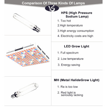 Led Plant Grow Illuminazione Grow