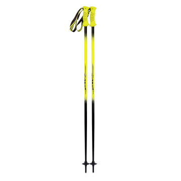 OEM Heated Walking Sticks - 2 Pieces Telescope Ski Poles for Cross Country Skiing
