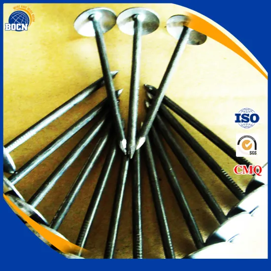 Steel umbrella roofing nails with competitive price