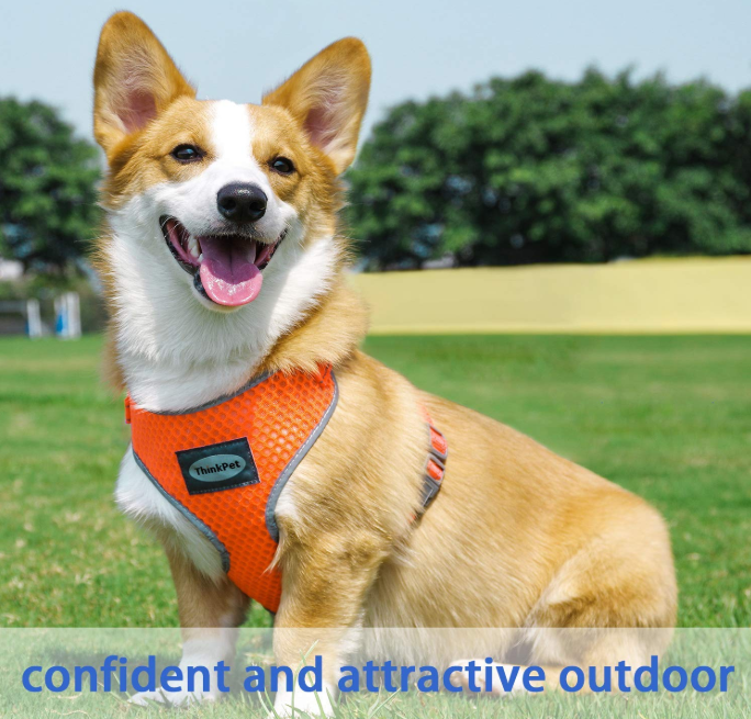 Breathable Soft Air Mesh Dog Harness