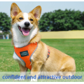 Breathable Soft Air Mesh Dog Abness