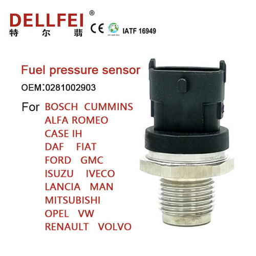 Common Rail Pressure Sensor Fuel pressure sender 0281002903 For FORD IVECO MAN Factory