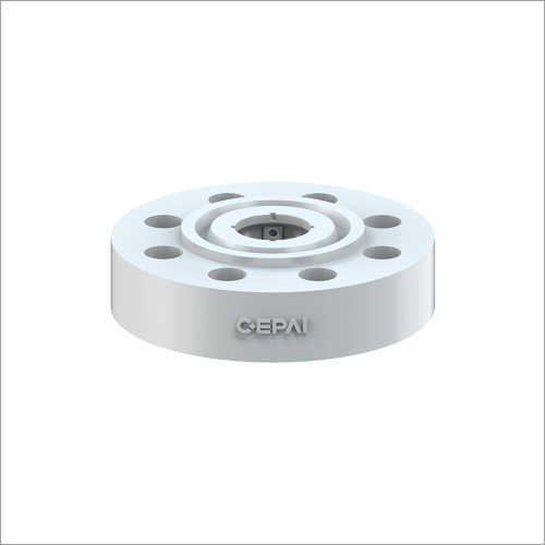 Dual Plate Check Valve