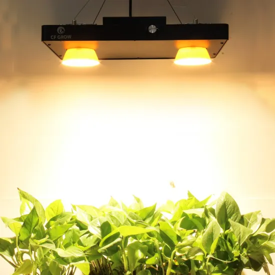 Shenzhen Panda exclusive Blacksun design vero29 led dimmable full spectrum cob grow light 300w with meanwell driver