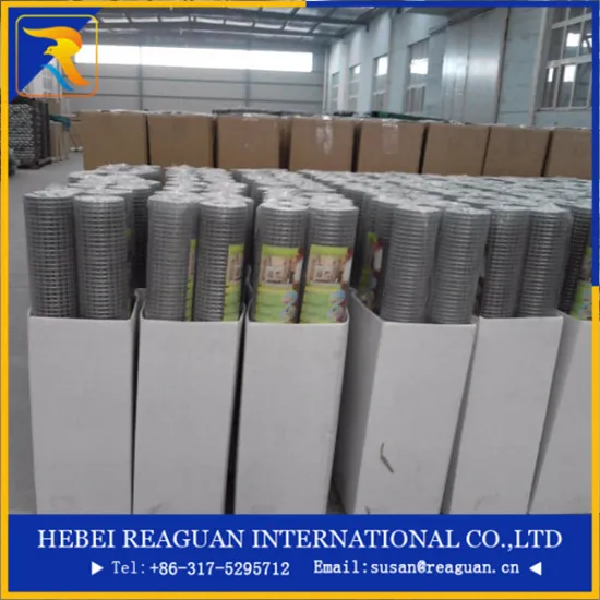 galvanized standard mesh welded wire mesh