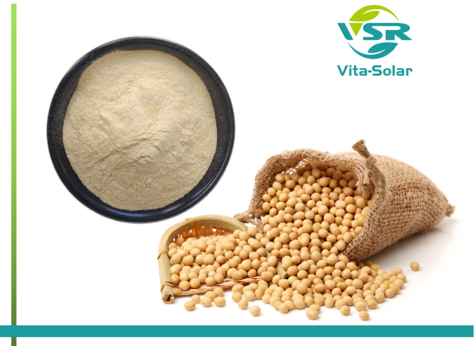 Soy Lecithin Powder