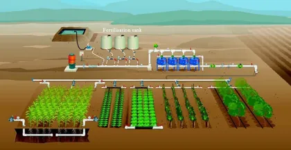 drip irrigation system