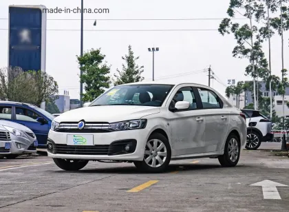 New Energy Adult Tourist Sightseeing Electric Vehicle