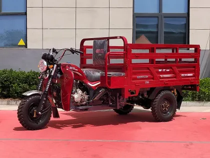 Advanced Three-Wheeled Electric Vehicle for Modern Use