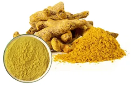 Longze Water Soluble 10% Turmeric Curcumin Extract Powder