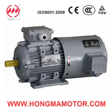 Hmavp Aluminium Three Phase Frequency-Variable & Speed-Regulation Indunction Electric Motor