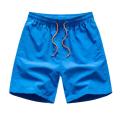 Wholesale Men's Casual Swimming Trunks