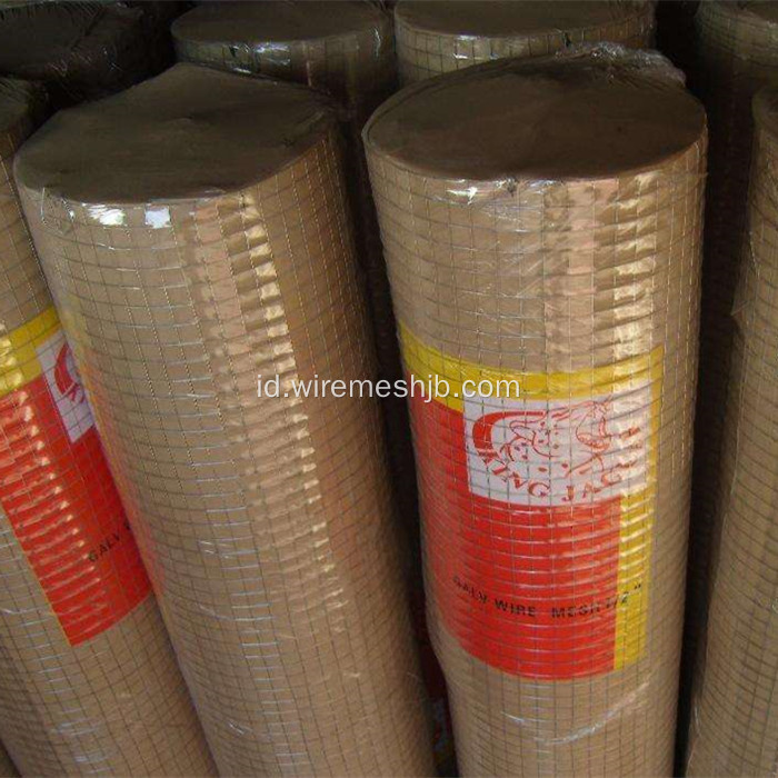 Hot-dip Galvanized Welded Wire Mesh